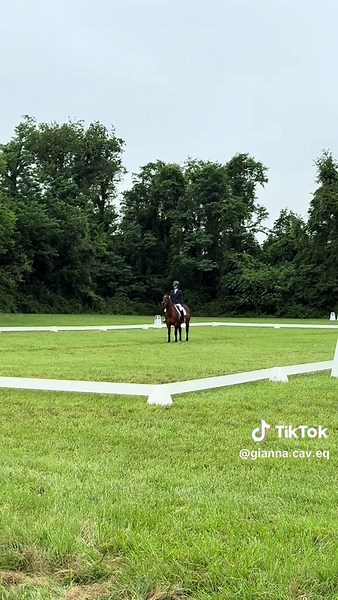 I’m so so proud of this boy, taking home 2nd from our first ever beginner novice event. I was so so nervous going into it but, (as always) my boy pulls through and keeps me safe. I cannot wait to see how the rest of the season plays out for us🩷🩷 #fypシ #horse #equestrian #horses #equestrianlife #foryou #fakebodyy⚠️ #fyp #showjumping #pony #horselover #foryoupage #love #horseriding #fypシ #horse #equestrian #horses #equestrianlife #foryou #fakebodyy⚠️ #fyp #showjumping #pony #horselover #foryoupa