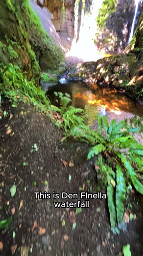 Scotland’s hidden waterfall, this is Den Finella ✨ You'll need to be careful, but it's well worth the climb. #DenFinella #Scotland #ScotlandsWild #VisitScotland #HiddenGems #Waterfalls #CoastalScotland | Scotland's Wild