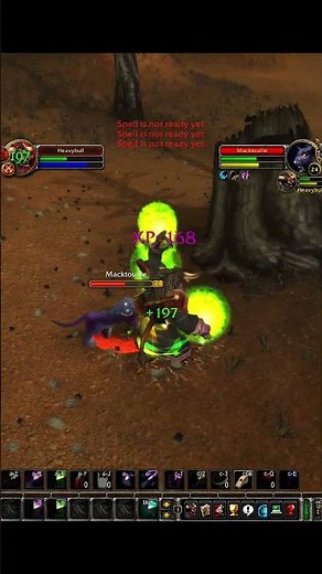 WoW Classic TBC Feral Druid World PvP - 1v1 Druid vs Druid #worldofwarcraft #mmorpg #pvp