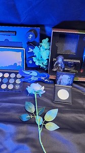 Te presento la colección de maquillaje SHEGLAM Corpse Bride Collection. Inspirada en la pelicula Corpse Bride ( la novia cadáver). @sheglam_official #SHEGLAM #sheglamcollection #sheglamcorpsebridecollection #maquillaje #makeup | Angelina M Urena