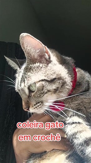 Como Fazer Coleira de Gato em Crochê
