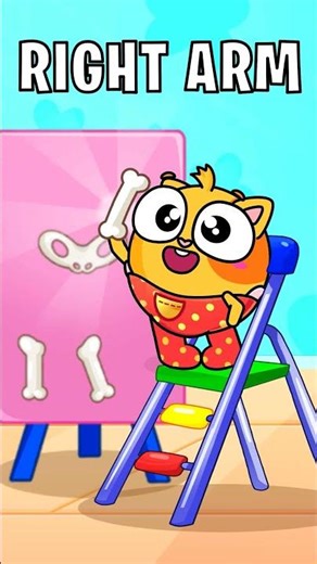 👃👀👂Body Structure for Kids 🤓 | Discover that there are funny bones inside us #learnforkids