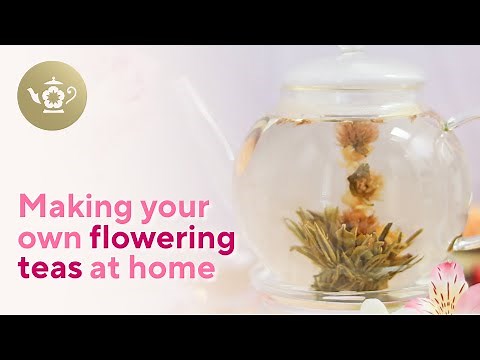 How to Make Flowering Tea Balls at Home with Teabloom