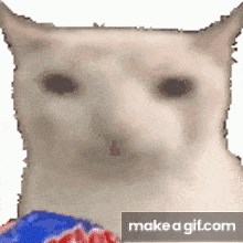 Cat eating chips. on Make a GIF