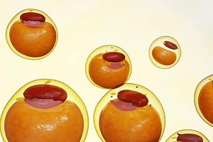 Researchers Develop Test to Alert Risk of Obesity in Children