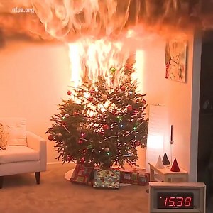 It only takes 30 seconds for a dry Christmas tree to engulf your room in flames. Everybody needs to see this. | Tyla