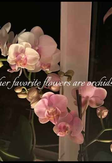 orchid 💓 #orchid #flowers #orchids #girl #fy