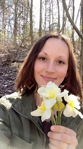The spring woods are so magical 🌷🌿 I love wandering around saying hello to all of my plant friends, welcoming them back after the long winter. Gathering some tender greens to add into spring food. This just feels right. 🌱 #springforest #springmagic #daffodils #ramps #springforaging #springwoods #springmedicine #medicinethroughtheseasons #seasonalherbalism #wildspringgreens #wildforaging #eattheweeds #ramps #gatheringbasket #springflowers #magical #ancestralmedicine #livingwiththeland | Woven 
