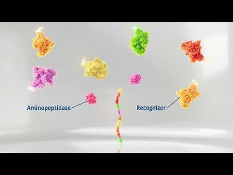 Quantum-Si Platinum Pro Technology Video