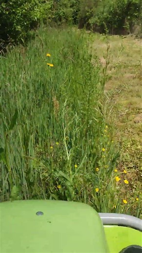 Tonte avec débroussailleuse autoportée grillo climber 850