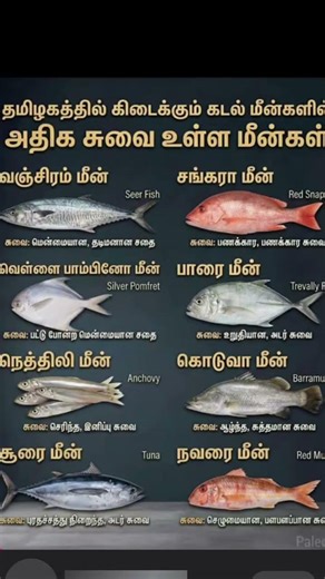 "Different types of fish have delicious flavors"🐠🐟😍#fish #food #viral #trending #love ❤❤🥳