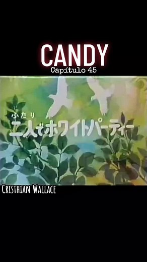 Cuentas recomendadas