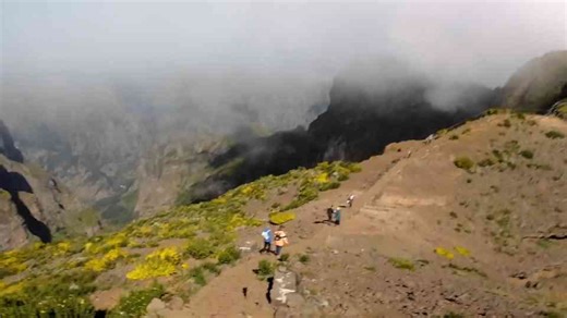 Unexpected health benefits of forest bathing in Madeira