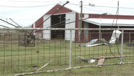 Brief tornado in Oklahoma downed power lines, trees