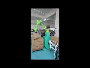 ​​See how SAM ROBOT industrial robots redefine carton palletizing efficiency