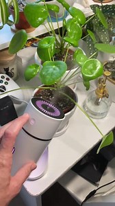 Watch Demonstration of my first humidifier on Amazon Live