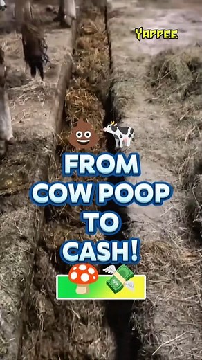 💩🐄 From Cow Poop to Cash! 🍄💸 #Yappee #YappeeHow #KwentongMalupet #PoopToProfit #FarmHacks | Yappee Shirts