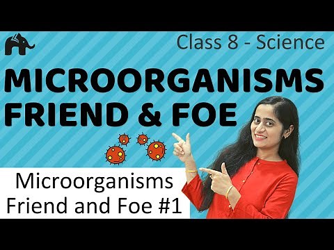 Microorganisms Friend and Foe #1 | Class 8 Science