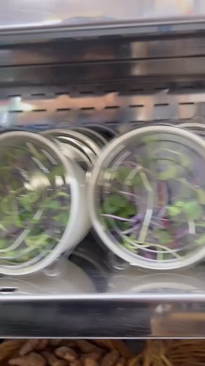 🌱 The Secret Power of Microgreens 😎 Bigger Health in a Smaller Package ✨ Did you know our FAMLY grown micro greens (Daikon, Rambo Radish, & Kohl Rabi) are a SUPER dense source of nutrition? 💚 🌿 They’re harvested right after the first true leaves appear from seeds, which is their peak moment for nutrient concentration. 🚀 Research has found that microgreens often contain significantly higher levels of vitamins, C, E, K, and beta-carotene (sometimes up to 40 times more 🤯) than the mature vers