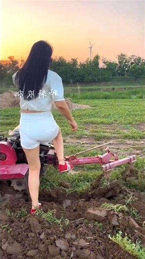 Mini Crawler Rotary Tiller Working in Orchard 🚜 #MicroTiller #CrawlerRotaryTiller #FarmMachine