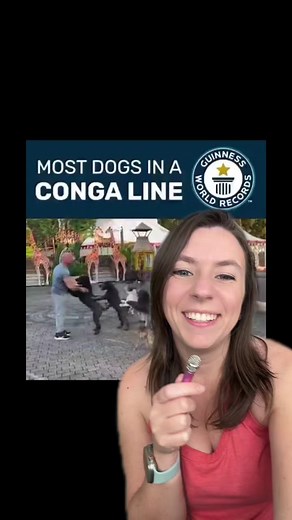 14 Dogs Conga Line World Record Win | Good News of the Day