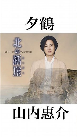 #山内惠介 #夕鶴 北の断崖(きりぎし)（鶴盤） #演歌 #新曲 #shorts