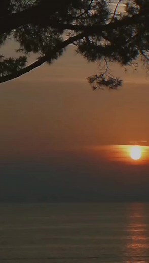 Cici Inyanga Lyrics and Meaning Explained