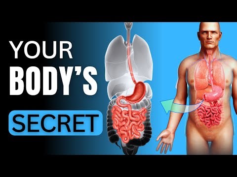 Medical Truth: How Digestion Really Works Inside Your Body?