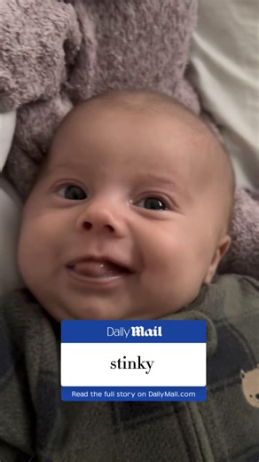 BREAKING NEWS ‼️‼️‼️‼️ | meme