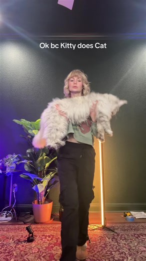 Kallmekris Shares Adorable Cat Video