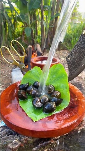 How to make delicious sea snails in 5 minutes…