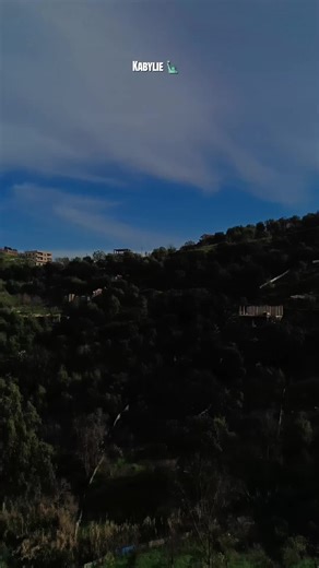 #algerie #kabyle #tiziouzouⵣimazighen💛💚bejaia♓🇩