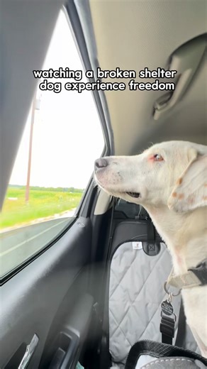 43K views · 1.6K reactions | This was one of those moments we will...