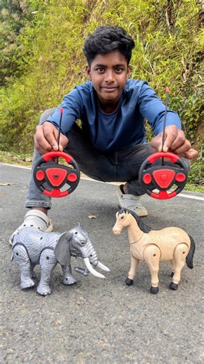 Amar Notun 2ta Rc Horse and Remote Control Elephant Ki Unboxing 😍