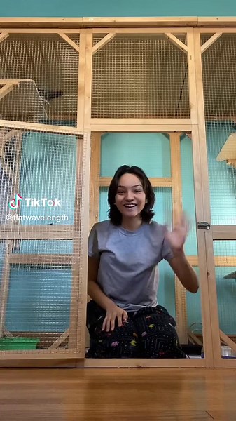 Exploring Pigeon Cage Designs and Care Tips