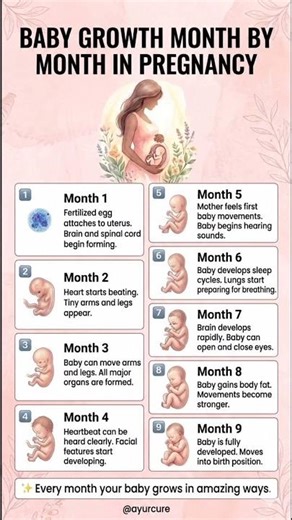 How a Baby Grows in 9 Months 🤰 Pregnancy Month by Month 👶 (1–9 Months Explained)