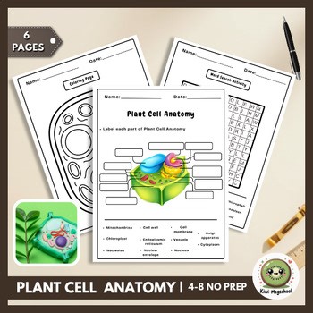 [4-8] Plant Cell Anatomy Labeling & Coloring Worksheets | Cell Organelles Unit