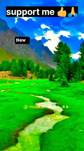 nice buetful nice status 🌹🌺 nice flower view. # beautiful natures