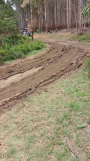 Exploring Logging Innovations with Ford and New Holland