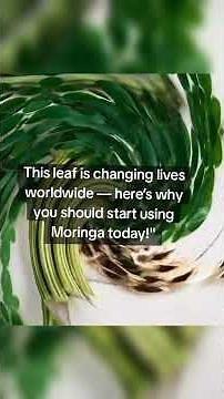 Unlock Moringa's Secrets: The Miracle Tree's Health Benefits 🌿 #Moringa #MiracleTree