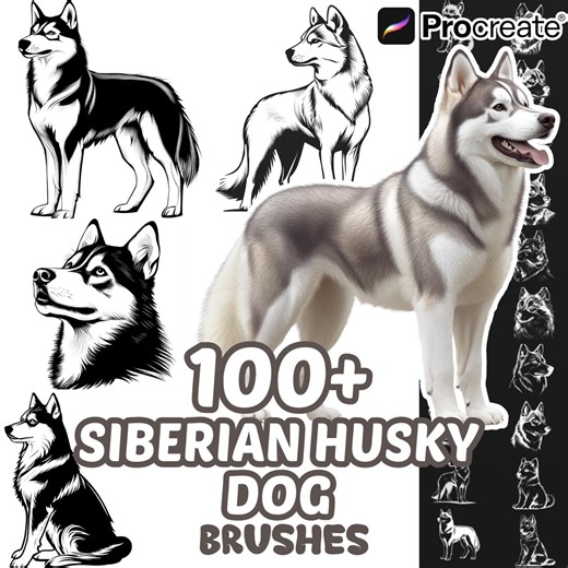 Procreate Siberian Husky Dogs Animals Brushes, 100  Siberian Husky Dog Animal Procreate Stamps, Nature Procreate, Pet Animals, Dogs Species - Etsy UK