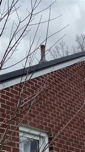 Water Heater Vent Fail — Simple Fix, Huge Consequences