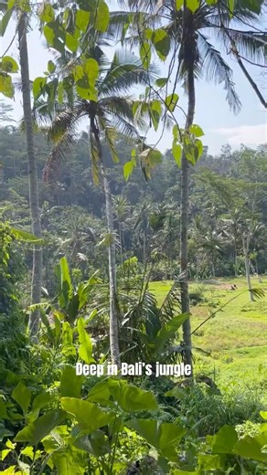 Hiking Bali’s Jungle Trail 🌴🌱