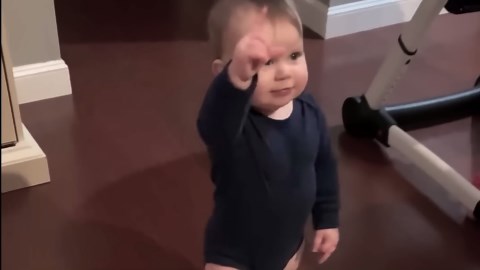 A plane fell from the sky and it was all caught on camera