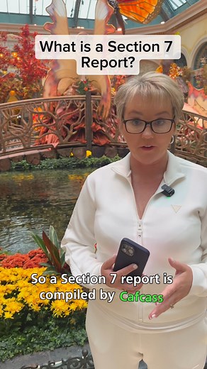 What is a Section 7 Report? #Cafcass #children #familylaw | The Legal Queen