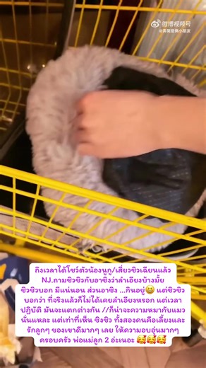 ความอบอุ่นในครอบครัวน้องนูกูและชิวชิว