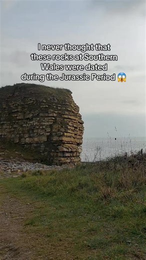 blue lias limestone #tour #uk #europe #history #greatbritain #geography #beach #pinoy #pinoytiktok #unitedkingdom #ofwlife #geology