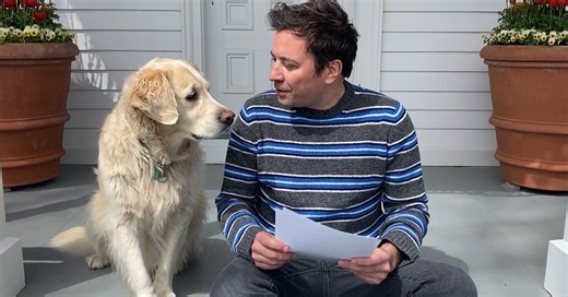 Jimmy Fallon Mourns His Golden Retriever In Such Loving Detail, It’ll Make You Want A Dog