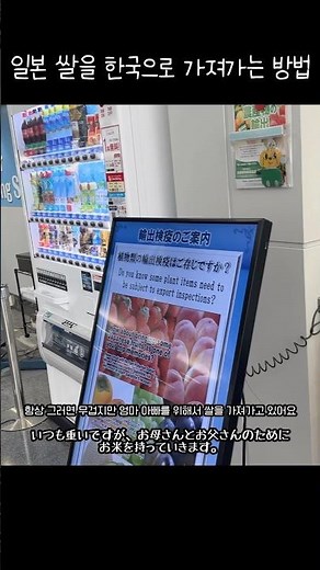 일본 쌀 한국으로 가져올 때 공항 절차 #일본여행