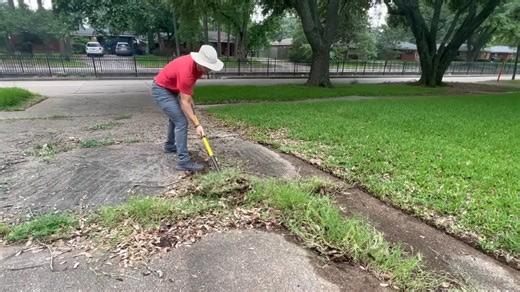 Nature was taking over this yard - until I showed up - unbelievable lawn transformation